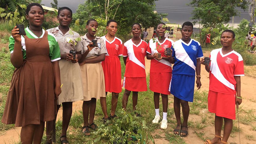 Tree planting picture